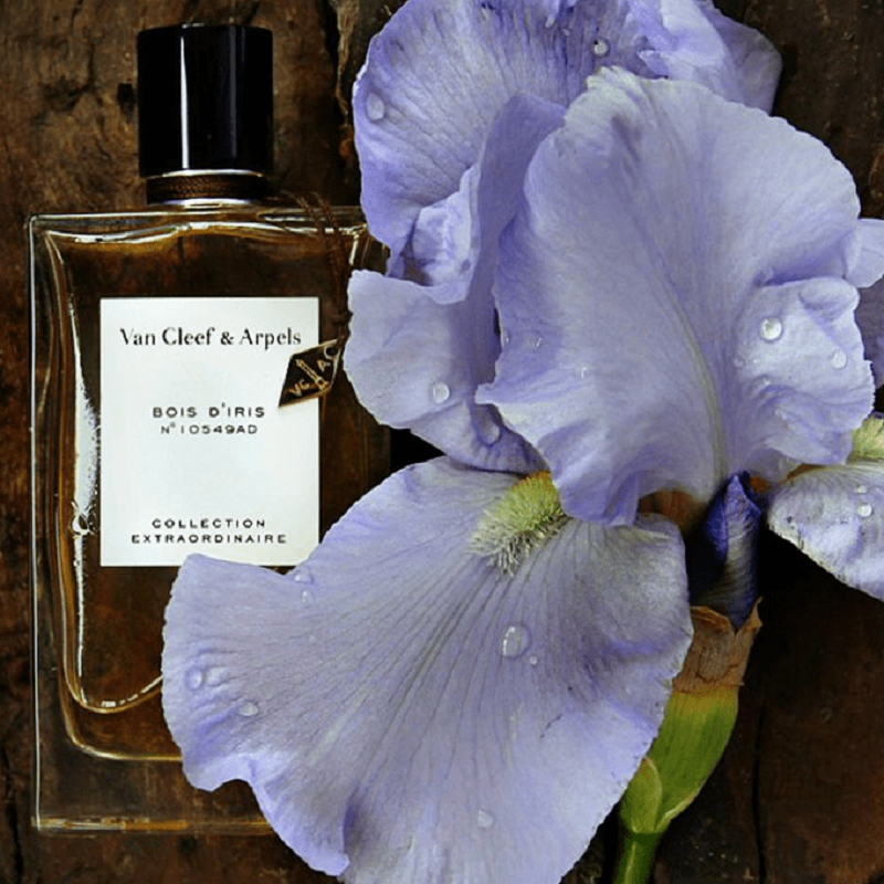 Bois D'Iris (75ml) Eau de Parfum by Van Cleef & Arpels