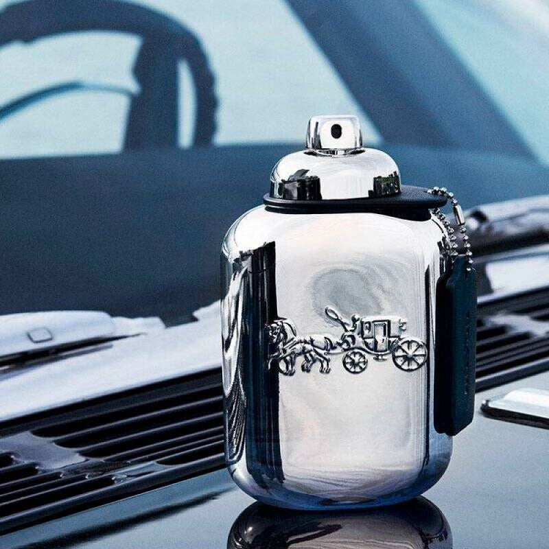 Coach Platinum (100ml) Eau de Parfum by Coach