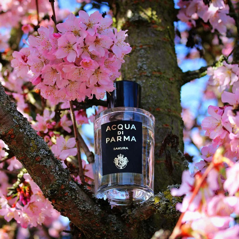 Sakura Parfum (100ml) Eau de Parfum by Acqua Di Parma