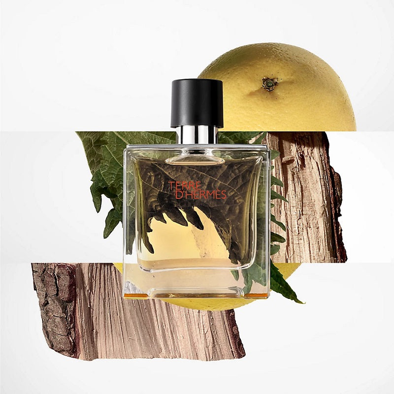 Terre D'Hermes (100ml) Eau de Toilette by Hermès