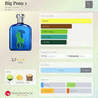 Ralph Lauren Big Pony 1 fragrance bottle with flavor profile on a light background