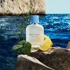 Dolce & Gabbana perfume bottle with lemons and greenery on a rocky surface by the ocean.