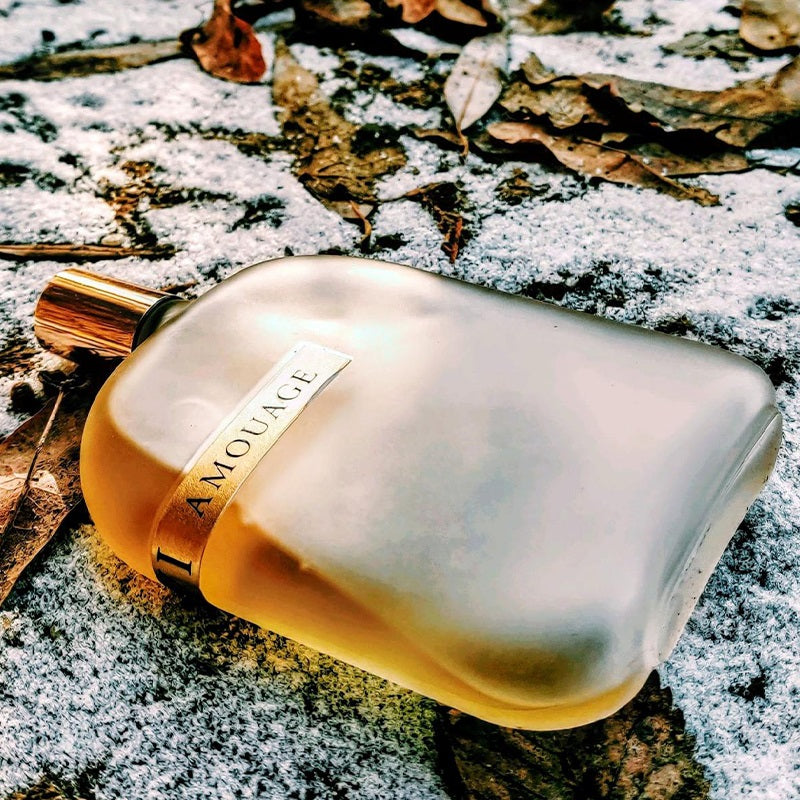 Opus II Library Collection (100ml) Eau de Parfum by Amouage