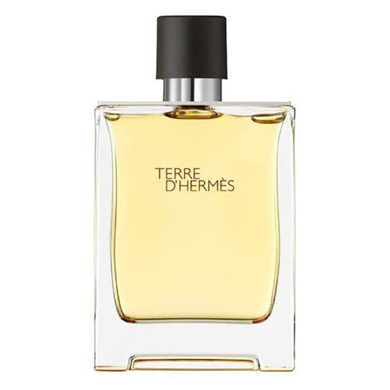 Terre D'Hermes 100ml Eau de Toilette by Hermès