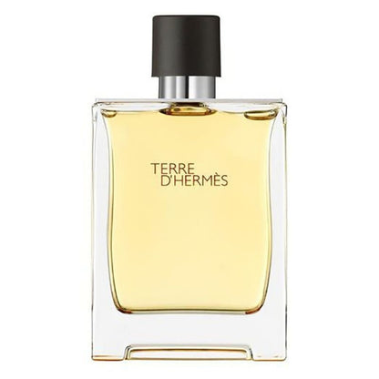 Terre D'Hermes (100ml) Eau de Toilette by Hermès