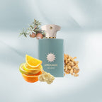 Lifestyle Image of Search, surrounded by images of the Scent ingrediants