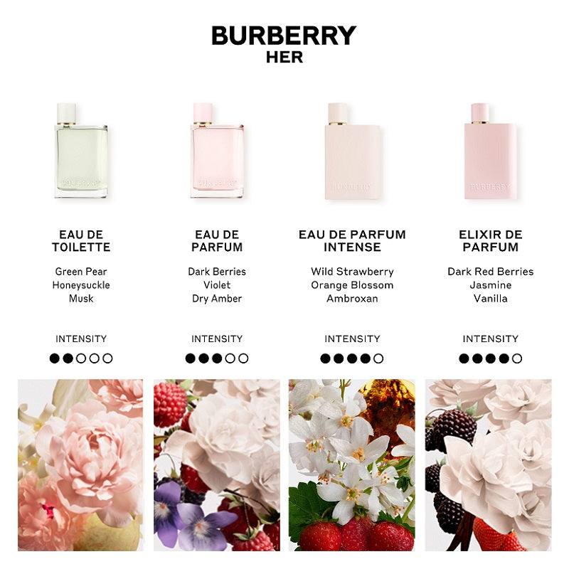 Burberry perfume collection with product images and names on a white background