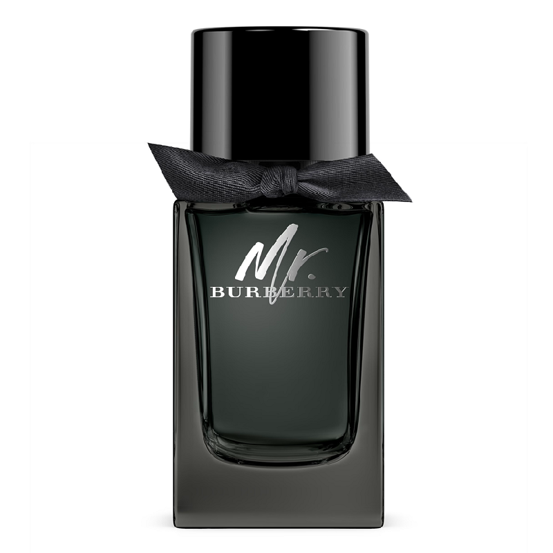 Mr Burberry 100ml Eau de Parfum by Burberry