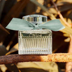 Chloe perfume bottle with a green ribbon on a branch