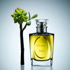 Dior perfume bottle with a succulent plant on a light gray background