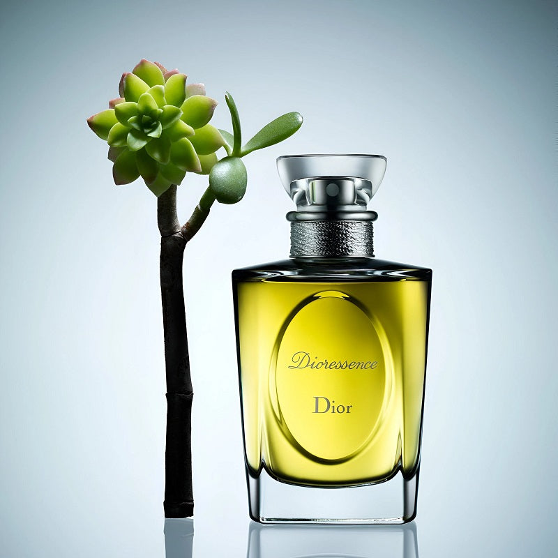 Dior perfume bottle with a succulent plant on a light gray background