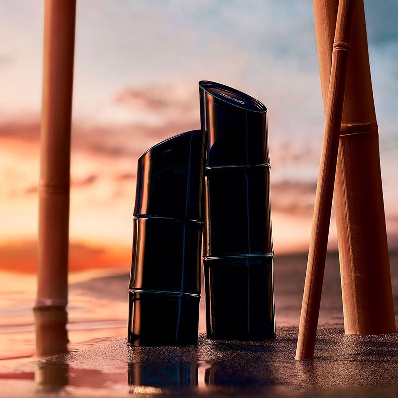 Two black cylindrical objects on a beach with a sunset in the background