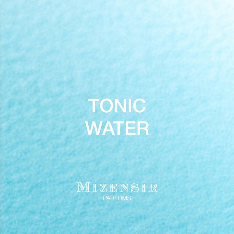 Image of Mizensir Logo and perfume name