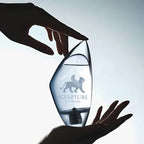 Nikos Sculpture 100ml Eau de Toilette by Nikos