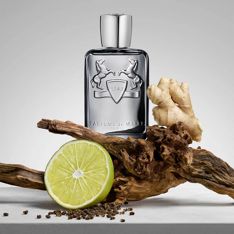 Castley 125 ml Eau de Parfum by Parfums de Marly with ginger root and lime on a gray background
